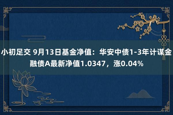 小初足交 9月13日基金净值：华安中债1-3年计谋金融债A最新净值1.0347，涨0.04%