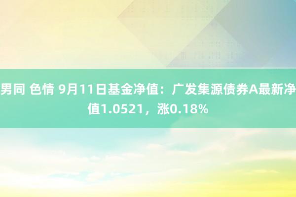 男同 色情 9月11日基金净值：广发集源债券A最新净值1.0521，涨0.18%