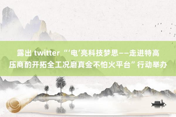 露出 twitter “‘电’亮科技梦思——走进特高压商酌开拓全工况磨真金不怕火平台”行动举办