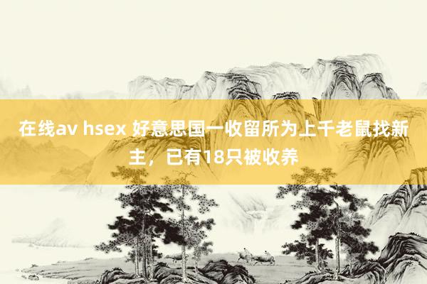 在线av hsex 好意思国一收留所为上千老鼠找新主，已有18只被收养