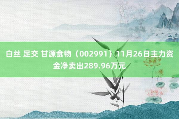白丝 足交 甘源食物（002991）11月26日主力资金净卖出289.96万元