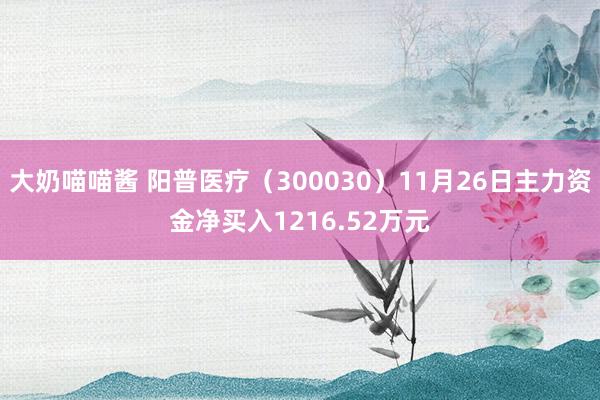 大奶喵喵酱 阳普医疗（300030）11月26日主力资金净买入1216.52万元
