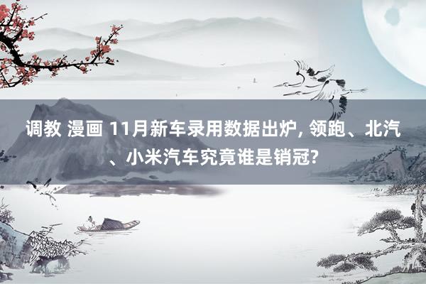 调教 漫画 11月新车录用数据出炉， 领跑、北汽、小米汽车究竟谁是销冠?