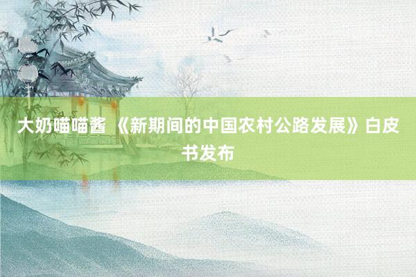 大奶喵喵酱 《新期间的中国农村公路发展》白皮书发布