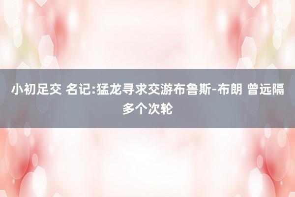 小初足交 名记:猛龙寻求交游布鲁斯-布朗 曾远隔多个次轮
