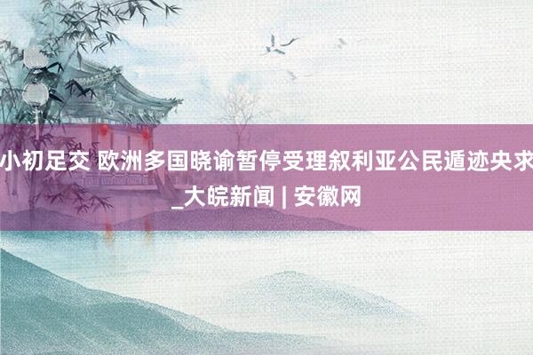 小初足交 欧洲多国晓谕暂停受理叙利亚公民遁迹央求_大皖新闻 | 安徽网