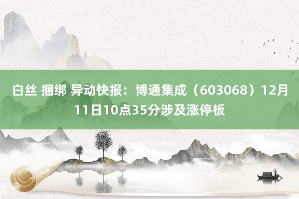 白丝 捆绑 异动快报：博通集成（603068）12月11日10点35分涉及涨停板
