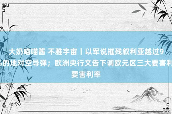 大奶喵喵酱 不雅宇宙丨以军说摧残叙利亚越过90%的地对空导弹；欧洲央行文告下调欧元区三大要害利率