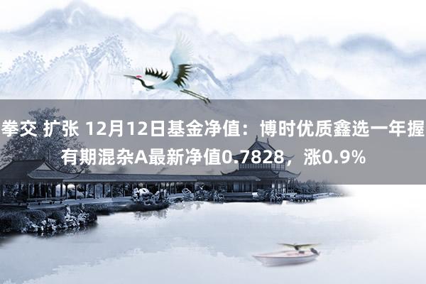 拳交 扩张 12月12日基金净值：博时优质鑫选一年握有期混杂A最新净值0.7828，涨0.9%