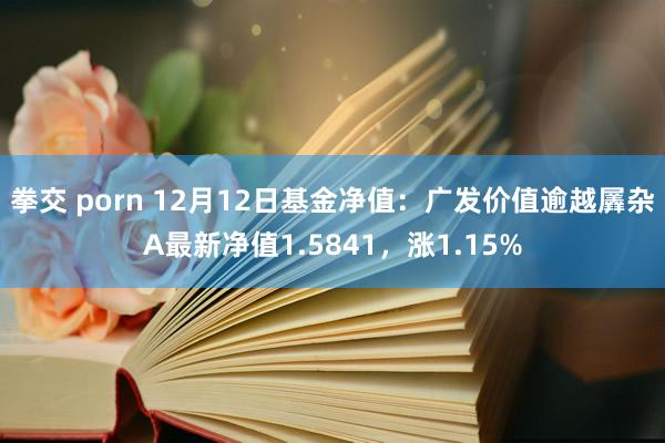 拳交 porn 12月12日基金净值：广发价值逾越羼杂A最新净值1.5841，涨1.15%