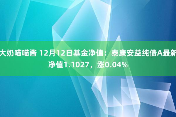 大奶喵喵酱 12月12日基金净值：泰康安益纯债A最新净值1.1027，涨0.04%
