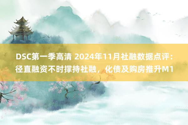 DSC第一季高清 2024年11月社融数据点评:径直融资不时撑持社融,化债及购房推升M1