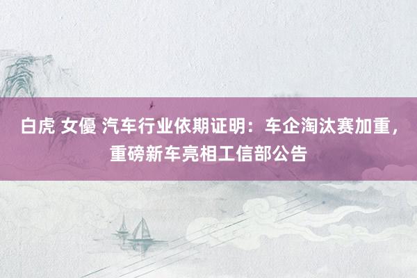 白虎 女優 汽车行业依期证明:车企淘汰赛加重,重磅新车亮相工信部公告