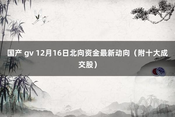 国产 gv 12月16日北向资金最新动向（附十大成交股）