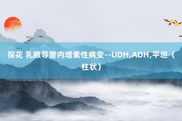 探花 乳腺导管内增素性病变--UDH，ADH，平坦（柱状）