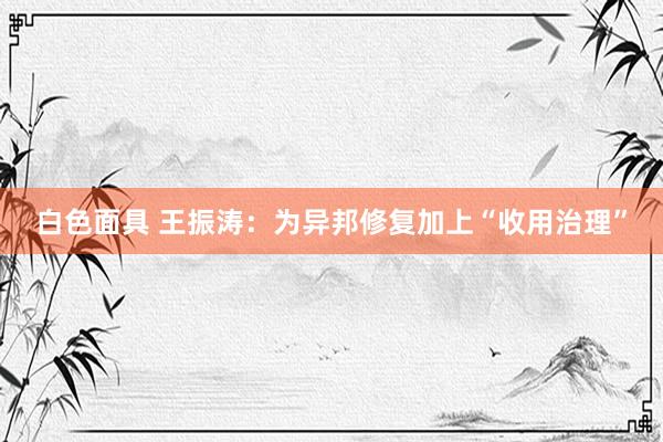 白色面具 王振涛：为异邦修复加上“收用治理”