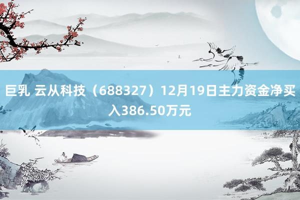 巨乳 云从科技（688327）12月19日主力资金净买入386.50万元