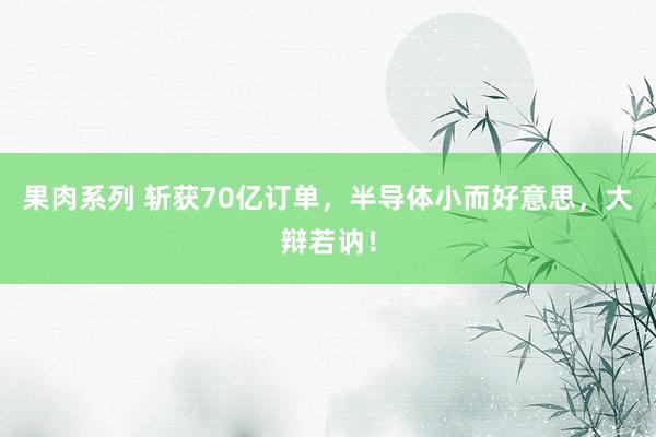 果肉系列 斩获70亿订单，半导体小而好意思，大辩若讷！
