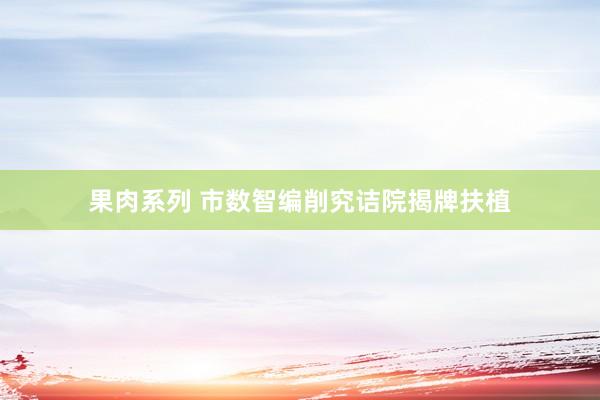 果肉系列 市数智编削究诘院揭牌扶植