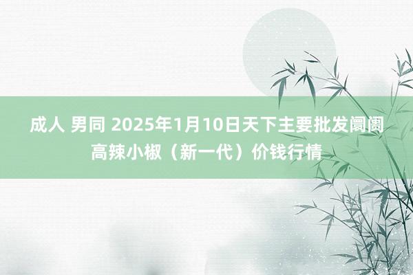 成人 男同 2025年1月10日天下主要批发阛阓高辣小椒（新一代）价钱行情