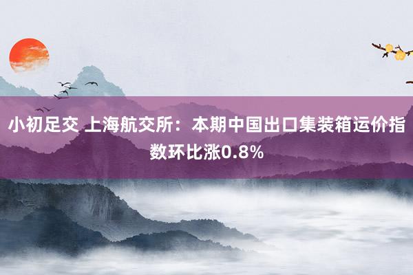 小初足交 上海航交所：本期中国出口集装箱运价指数环比涨0.8%