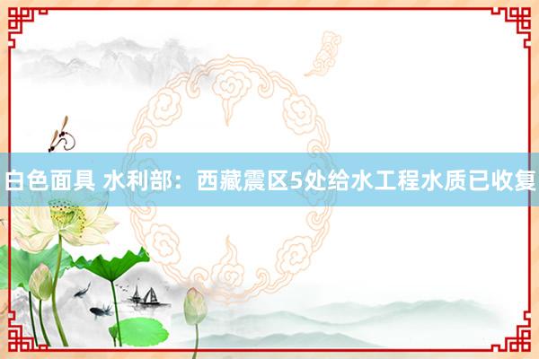 白色面具 水利部：西藏震区5处给水工程水质已收复