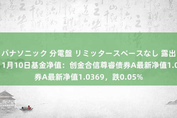 パナソニック 分電盤 リミッタースペースなし 露出・半埋込両用形 1月10日基金净值：创金合信尊睿债券A最新净值1.0369，跌0.05%