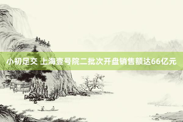 小初足交 上海壹号院二批次开盘销售额达66亿元
