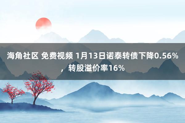 海角社区 免费视频 1月13日诺泰转债下降0.56%，转股溢价率16%
