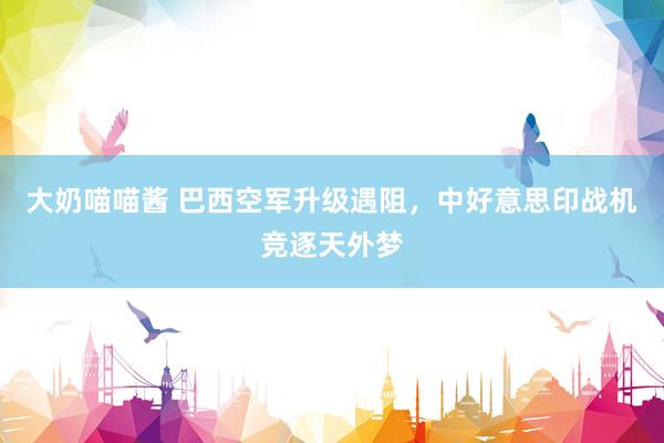 大奶喵喵酱 巴西空军升级遇阻，中好意思印战机竞逐天外梦