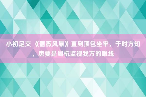 小初足交 《蔷薇风暴》直到顶包坐牢，于时方知，唐要是周杭监视我方的眼线
