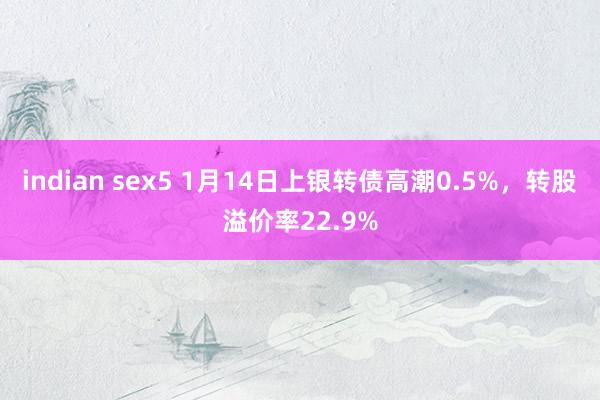 indian sex5 1月14日上银转债高潮0.5%，转股溢价率22.9%