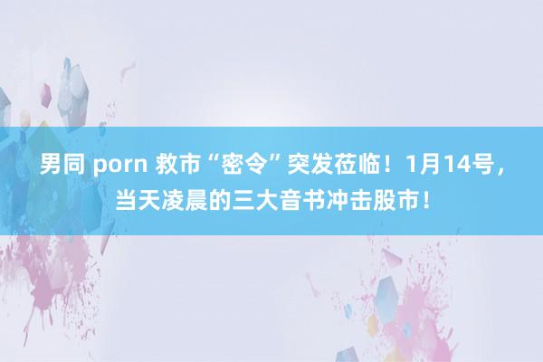 男同 porn 救市“密令”突发莅临！1月14号，当天凌晨的三大音书冲击股市！