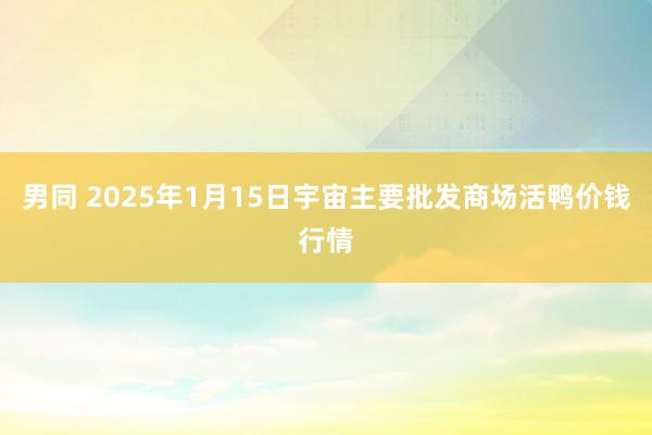 男同 2025年1月15日宇宙主要批发商场活鸭价钱行情