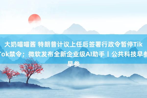 大奶喵喵酱 特朗普计议上任后签署行政令暂停TikTok禁令；微软发布全新企业级AI助手丨公共科技早参