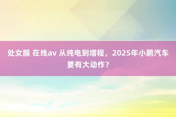 处女膜 在线av 从纯电到增程，2025年小鹏汽车要有大动作？