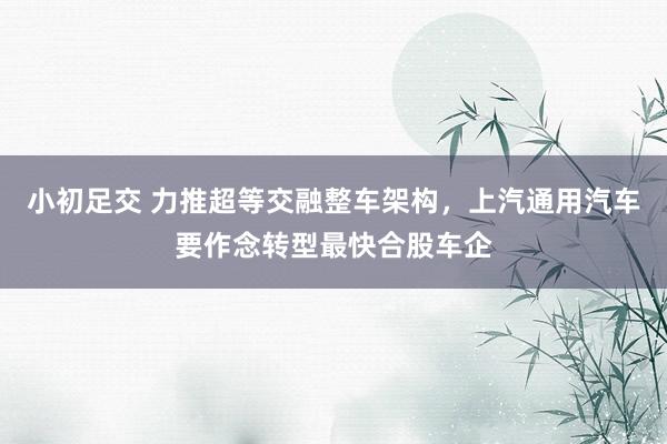 小初足交 力推超等交融整车架构，上汽通用汽车要作念转型最快合股车企
