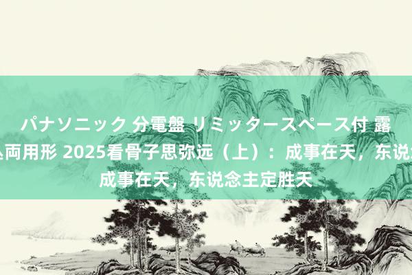 パナソニック 分電盤 リミッタースペース付 露出・半埋込両用形 2025看骨子思弥远（上）：成事在天，东说念主定胜天
