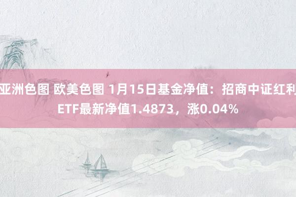 亚洲色图 欧美色图 1月15日基金净值：招商中证红利ETF最新净值1.4873，涨0.04%