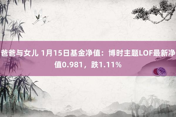 爸爸与女儿 1月15日基金净值：博时主题LOF最新净值0.981，跌1.11%