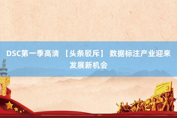 DSC第一季高清 【头条驳斥】 数据标注产业迎来发展新机会