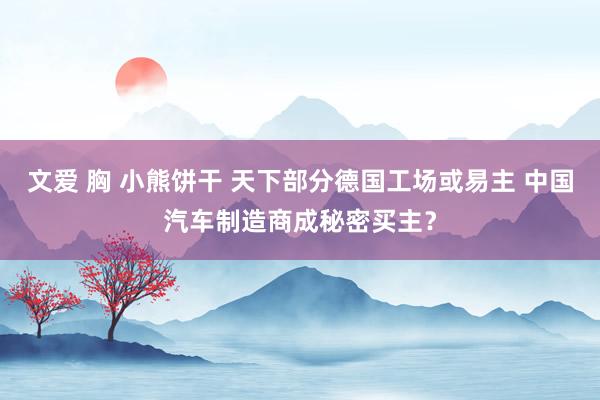 文爱 胸 小熊饼干 天下部分德国工场或易主 中国汽车制造商成秘密买主？