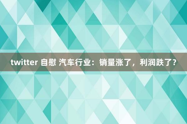 twitter 自慰 汽车行业：销量涨了，利润跌了？