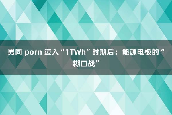 男同 porn 迈入“1TWh”时期后：能源电板的“糊口战”