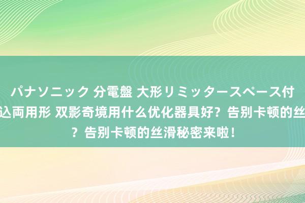 パナソニック 分電盤 大形リミッタースペース付 露出・半埋込両用形 双影奇境用什么优化器具好？告别卡顿的丝滑秘密来啦！