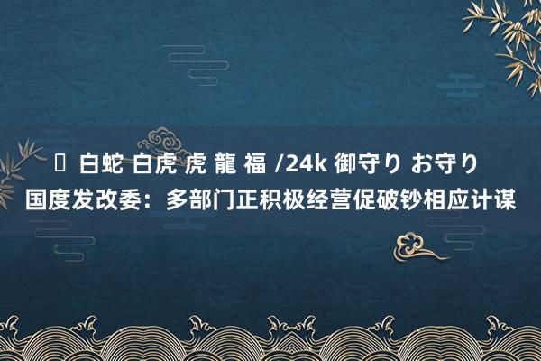 ✨白蛇 白虎 虎 龍 福 /24k 御守り お守り 国度发改委：多部门正积极经营促破钞相应计谋