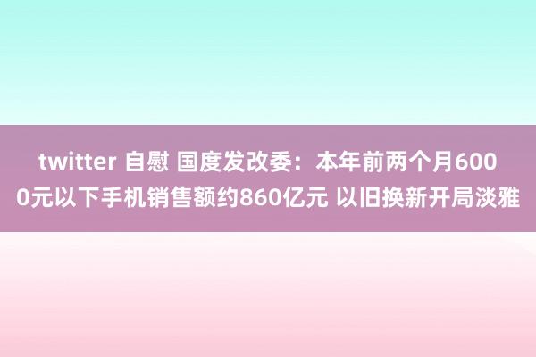 twitter 自慰 国度发改委：本年前两个月6000元以下手机销售额约860亿元 以旧换新开局淡雅