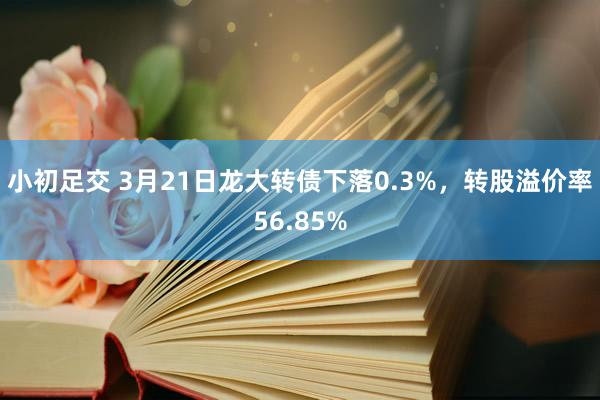 小初足交 3月21日龙大转债下落0.3%，转股溢价率56.85%