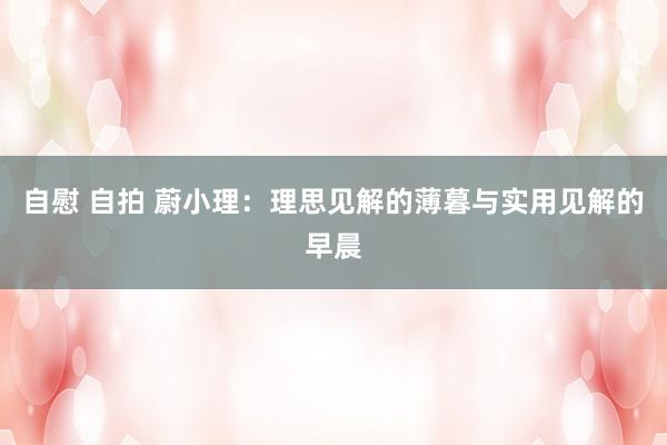 自慰 自拍 蔚小理：理思见解的薄暮与实用见解的早晨