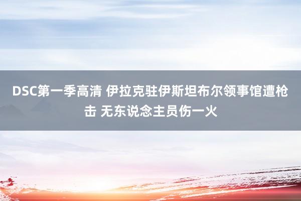 DSC第一季高清 伊拉克驻伊斯坦布尔领事馆遭枪击 无东说念主员伤一火